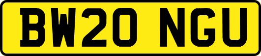 BW20NGU