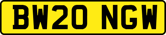 BW20NGW