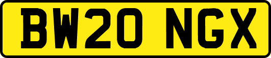 BW20NGX