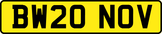 BW20NOV