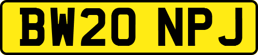 BW20NPJ