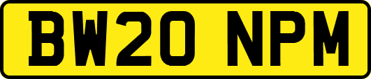 BW20NPM