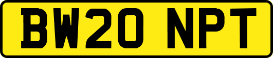 BW20NPT