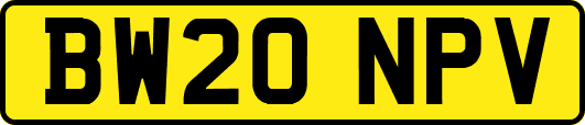 BW20NPV