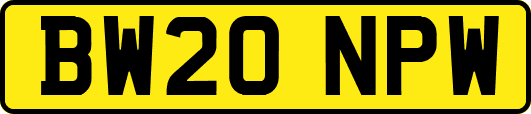 BW20NPW