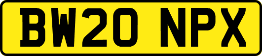 BW20NPX
