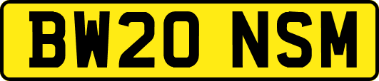 BW20NSM