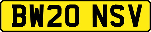 BW20NSV