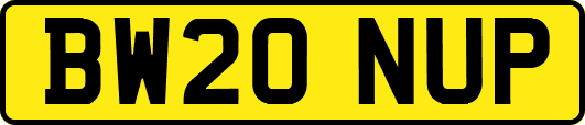BW20NUP
