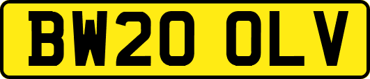 BW20OLV