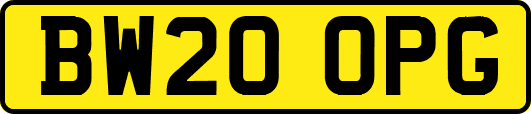 BW20OPG