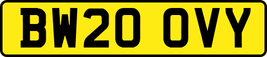 BW20OVY