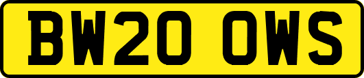BW20OWS