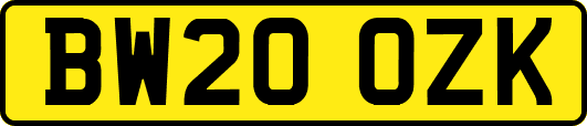 BW20OZK