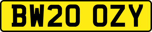 BW20OZY