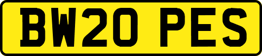 BW20PES