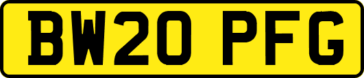 BW20PFG