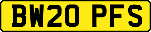 BW20PFS