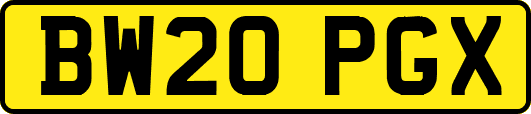 BW20PGX