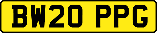 BW20PPG