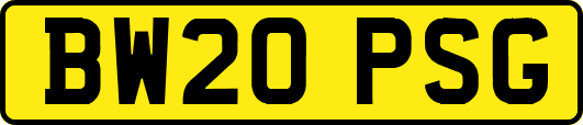 BW20PSG