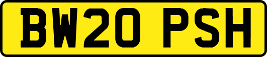 BW20PSH