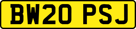 BW20PSJ