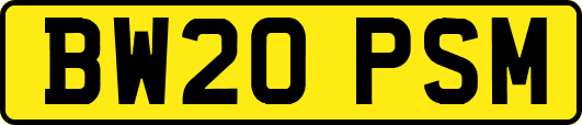 BW20PSM