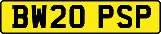 BW20PSP