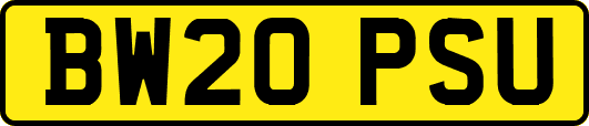 BW20PSU