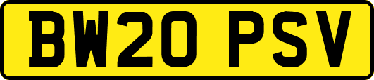 BW20PSV