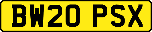 BW20PSX