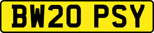 BW20PSY