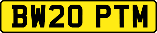 BW20PTM