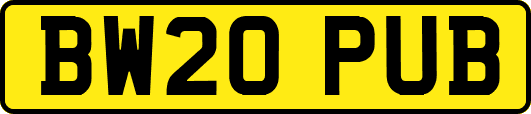 BW20PUB