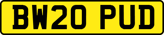 BW20PUD