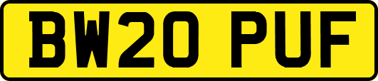 BW20PUF