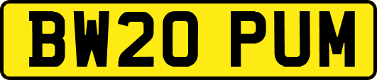 BW20PUM