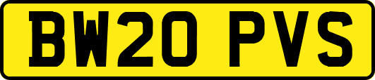 BW20PVS