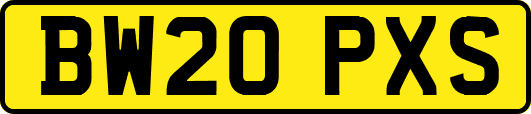 BW20PXS