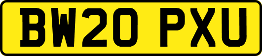 BW20PXU