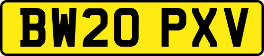 BW20PXV