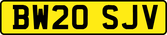 BW20SJV