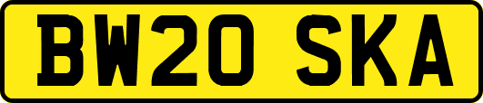 BW20SKA