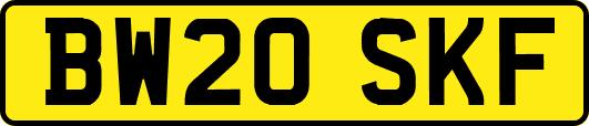 BW20SKF