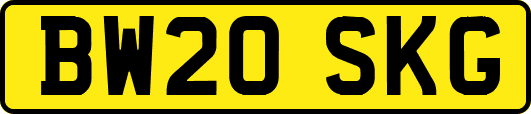 BW20SKG