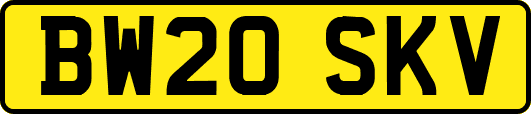 BW20SKV