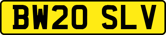 BW20SLV