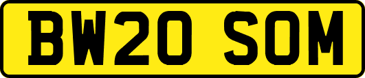 BW20SOM