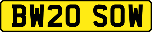 BW20SOW
